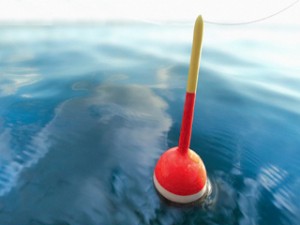 Fishing Bobber on Calm Water